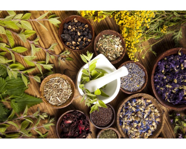 Herbal