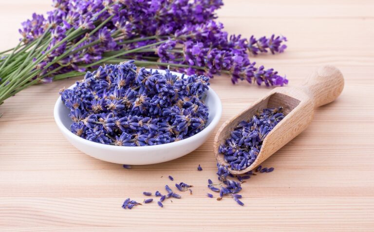 lavender, herbs, flowers-6097821.jpg