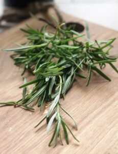 rosemary, herbs, green