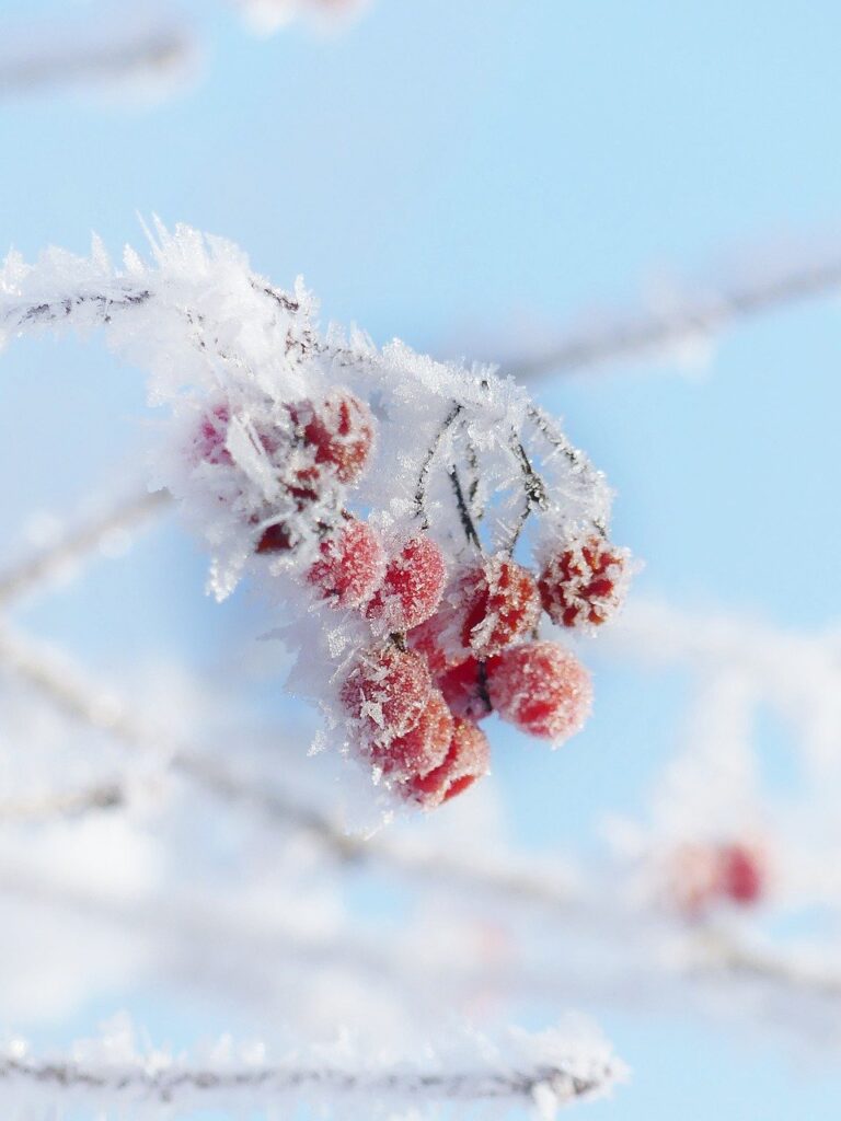 ice cream, ice crystals, cold