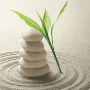 Blended / Multi Modality 3 Session Package